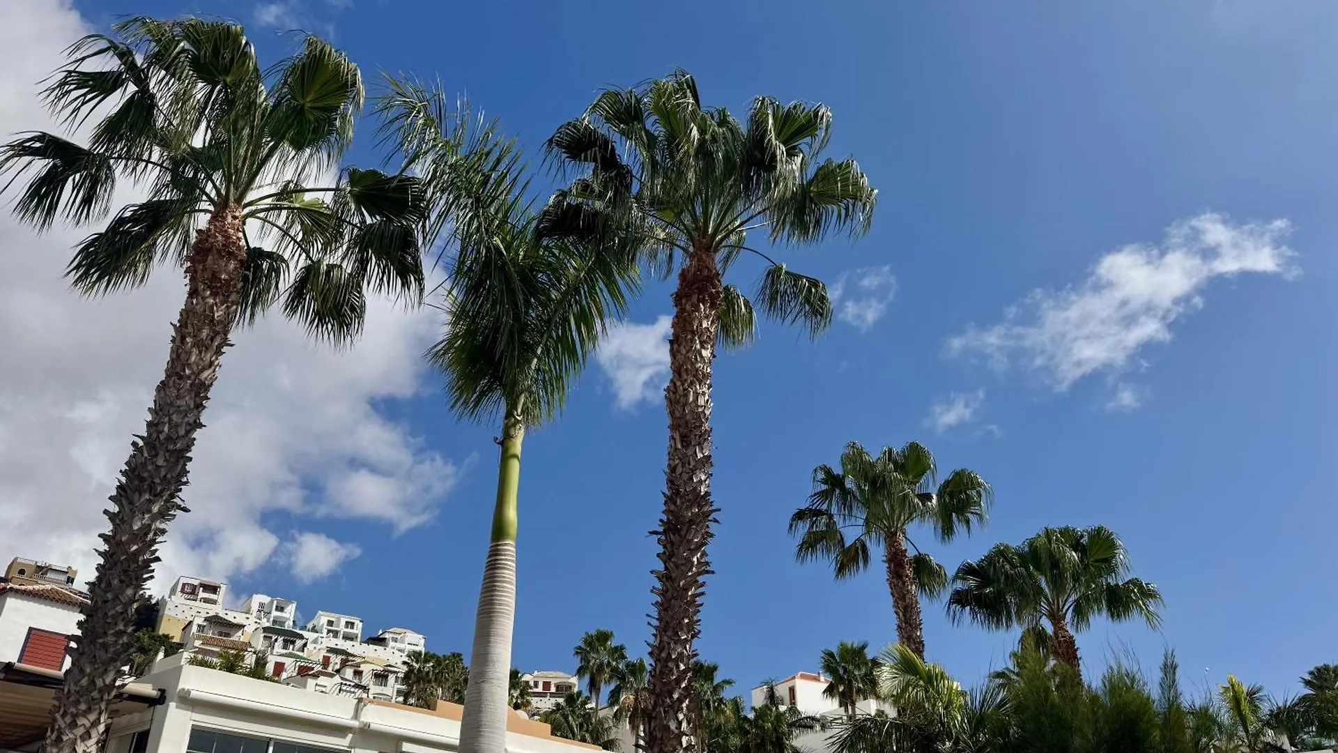Apartment Panoramic Paradise Tenerife Ocean View & Comfort Costa Adeje