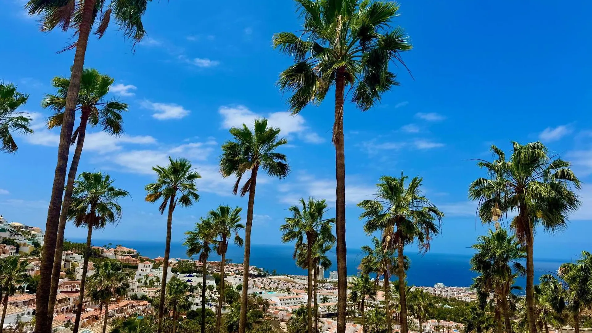 Apartment Panoramic Paradise Tenerife Ocean View & Comfort Costa Adeje